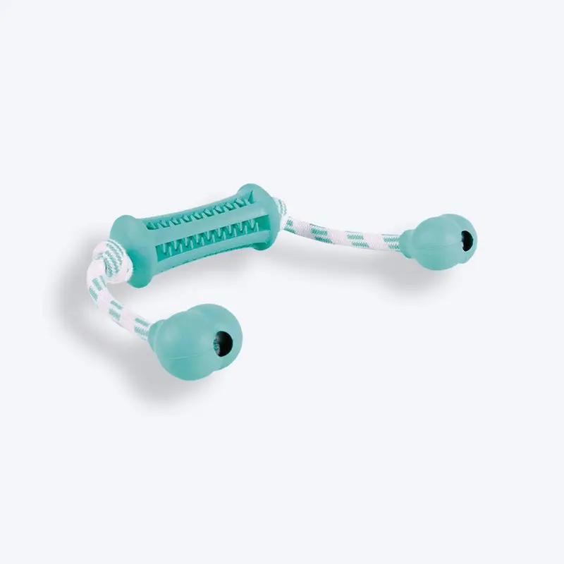 Trixie Denta Fun Stick With Rope Chew Toy For Dogs - Mint Green