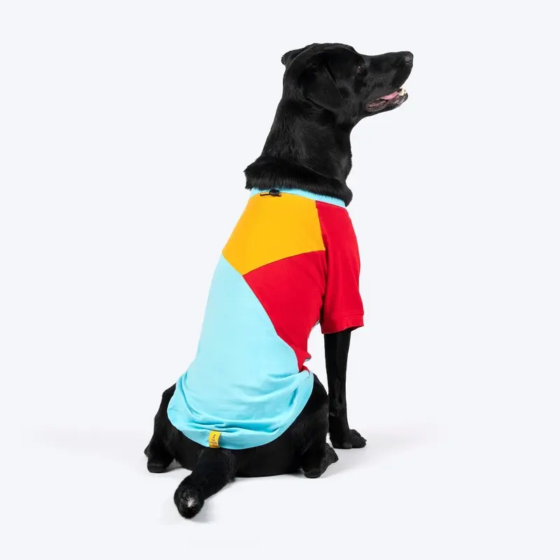 TLC Color Block T-Shirt For Dogs - Blue