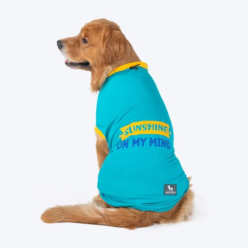 HUFT Sunshine On My Mind T-Shirt For Dogs - Light Blue