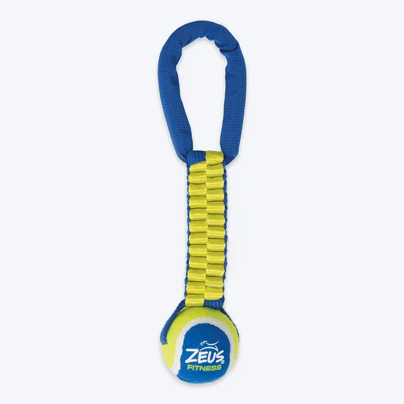Zeus Fitness Tennis Ball Nylon Twist Tug Fetch Dog Toy - Green & Blue