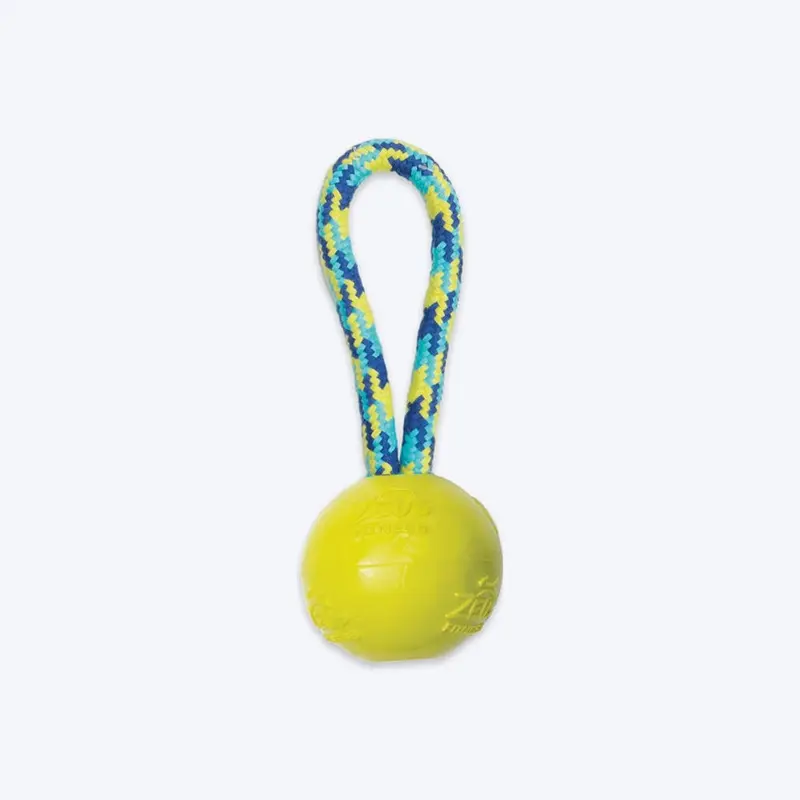Zeus Fitness TPR & Rope Ball Tug Fetch Dog Toy - Green/Blue