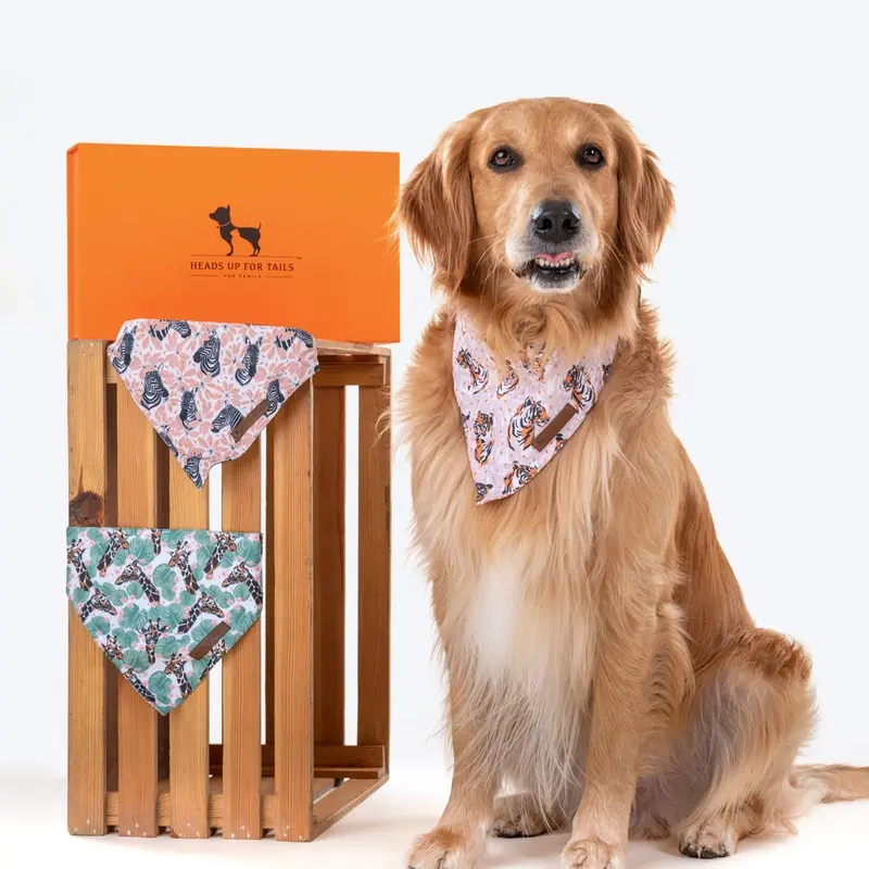 HUFT Jungle Collection Dog Bandana Combo