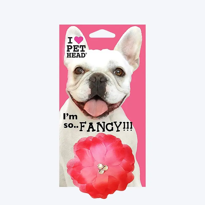 Pet Head I M So Fancy Dog Collar Slider