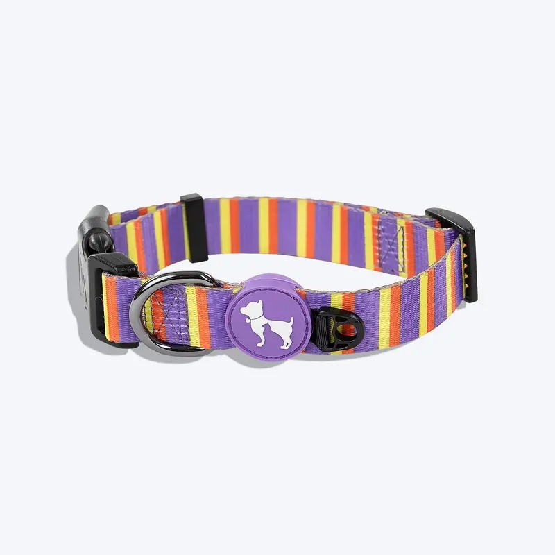 HUFT Sunny Stride Printed Dog Collar