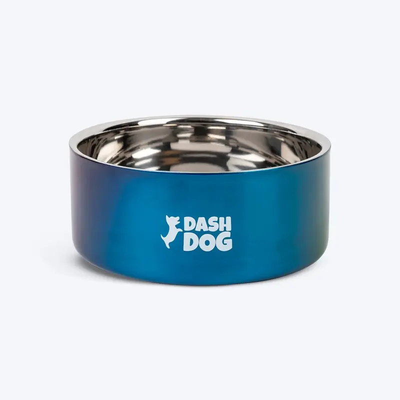 Dash Dog Rainbow Dog Bowl