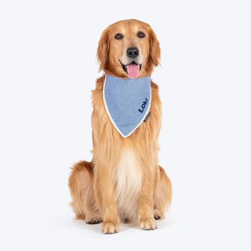 HUFT Personalised Gingham Checks Dog Bandana - Blue