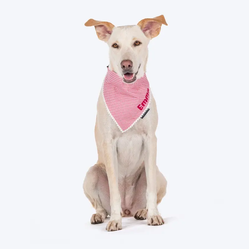 HUFT Personalised Gingham Checks Dog Bandana - Pink