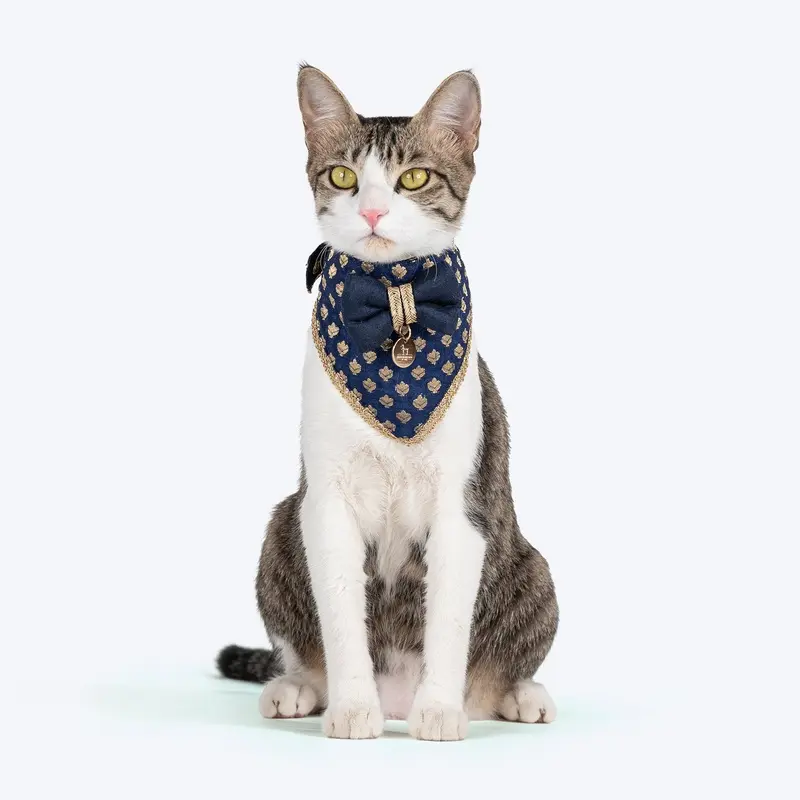 HUFT Brocade Dazzle Pet Scarf For Cat & Puppy - Blue