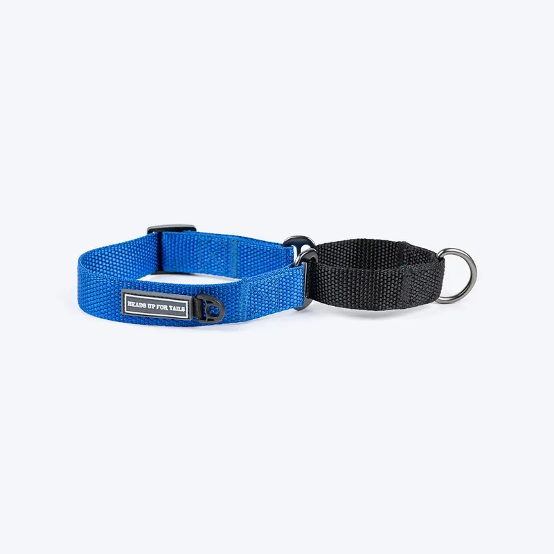 HUFT Martingale Collar For Dog - Cobalt Blue & Classic Black
