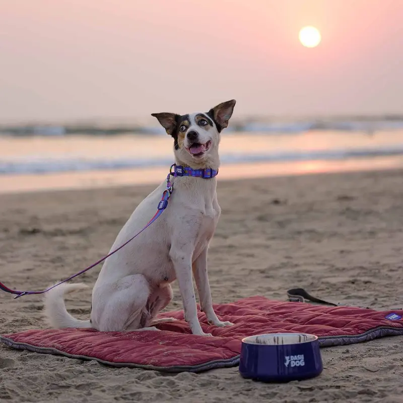 Dash Dog On-The-Go Reversible Outdoor Dog Mat - Maroon & Grey