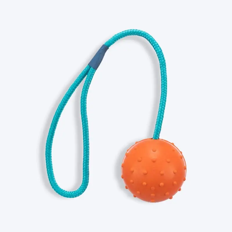 Trixie Ball On A Rope Natural Rubber With Sound Fetch Toy For Dogs - Assorted