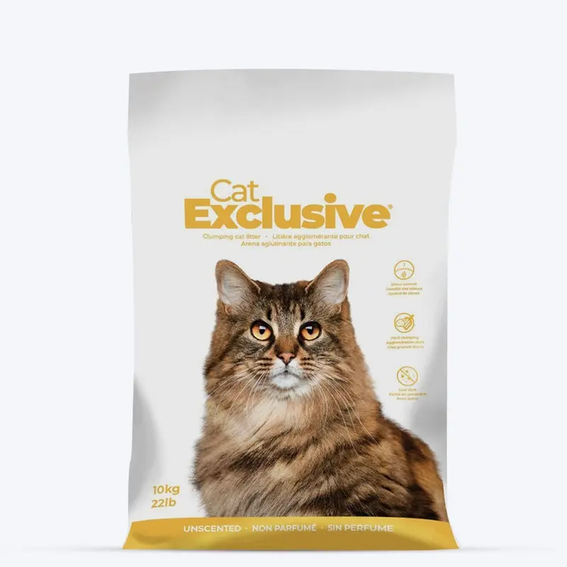 Intersand Cat Exclusive Scoopable Clumping Cat Litter - 10 kg