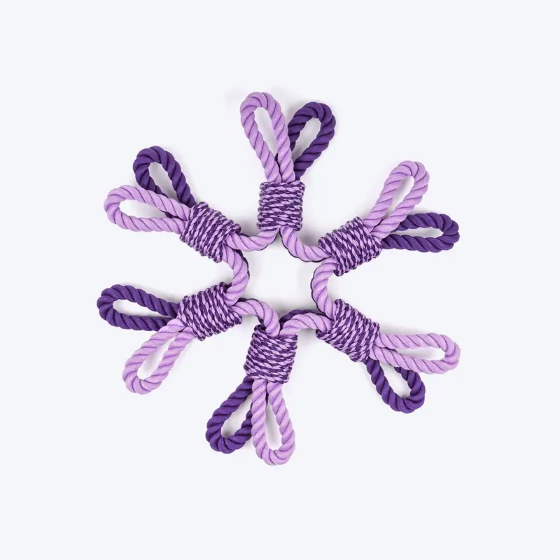 Dash Dog Sixer Trickster Rope Toy For Dog - Purple
