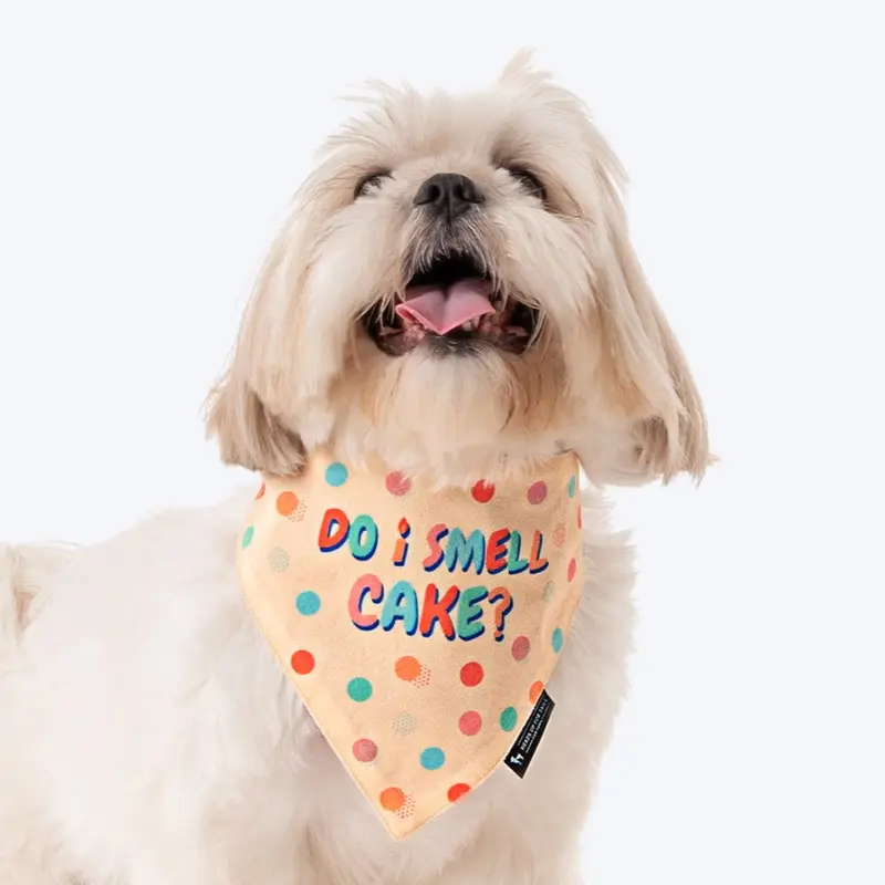HUFT Do I Smell Cake Dog Bandana