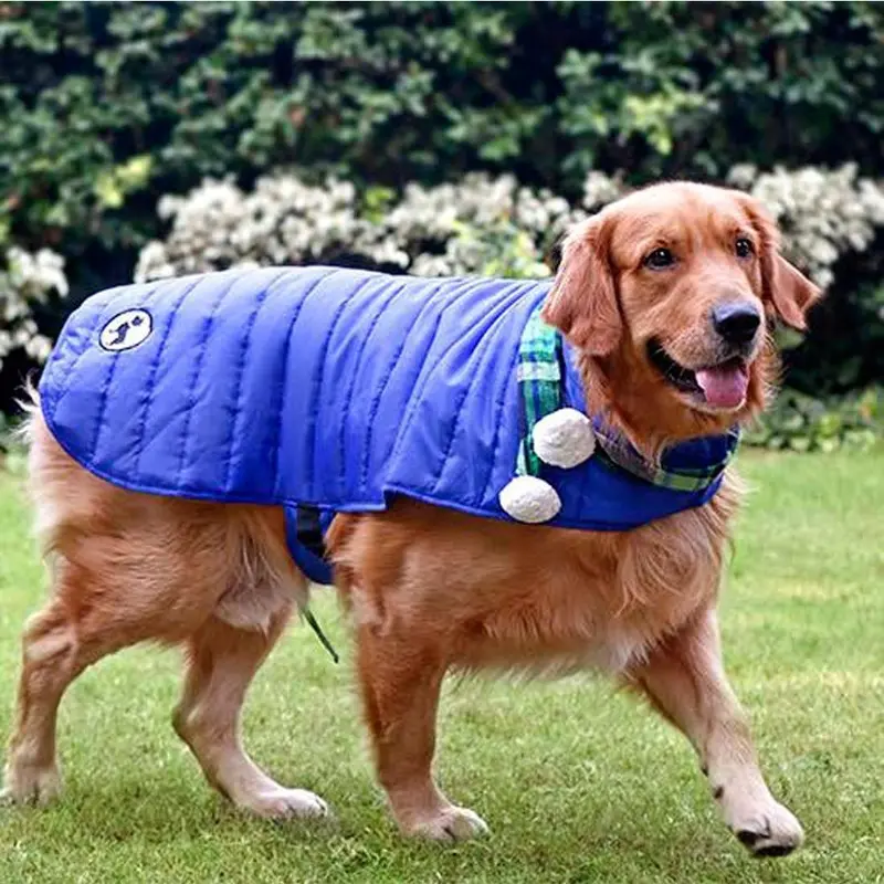 HUFT Madison Dog Jacket - Blue