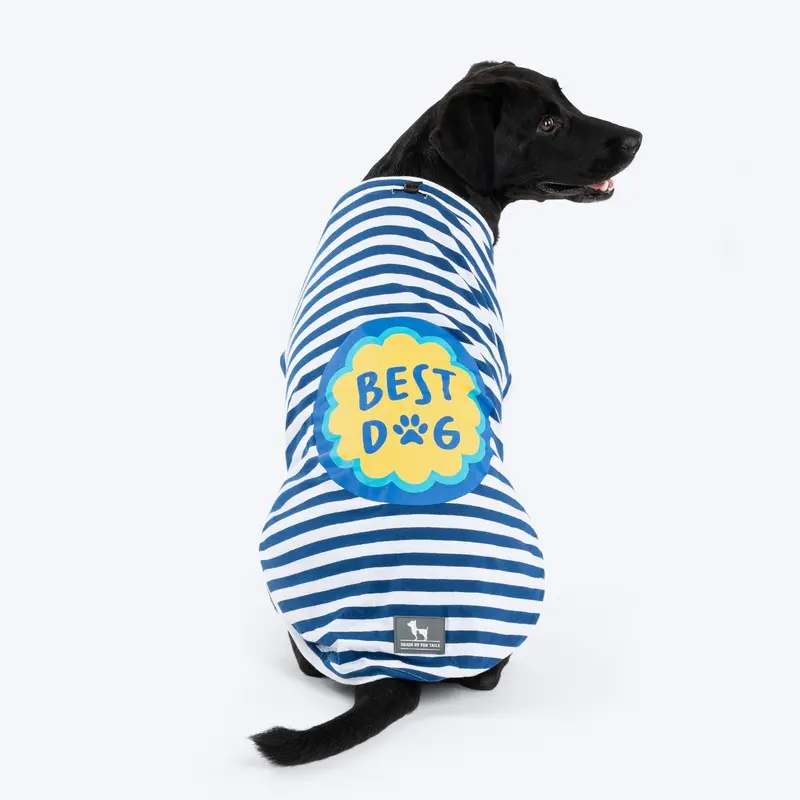 HUFT Best Dog Striped T-Shirt For Dog - Navy Blue & White