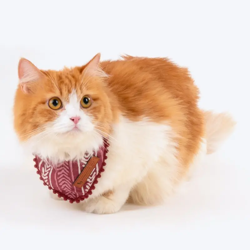 HUFT The Indian Collective Gul Cat Bandana - Maroon