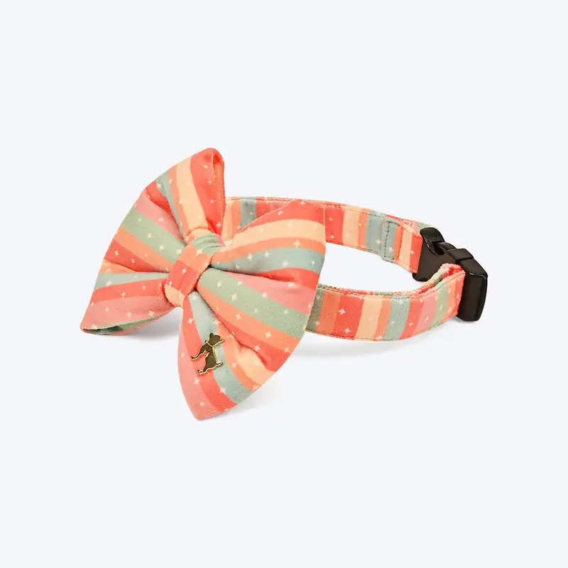 HUFT Funfetti Dog Bowtie with Strap