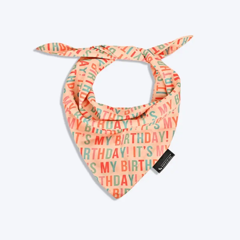 HUFT Its My Birthday Knot Dog Bandana