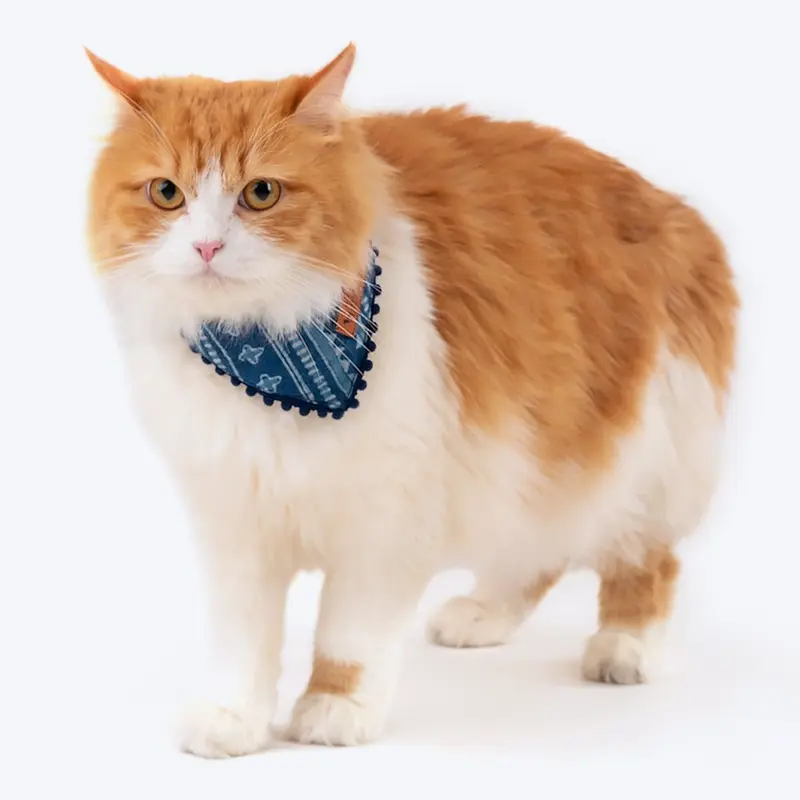 HUFT The Indian Collective Pankti Indigo Cat Bandana