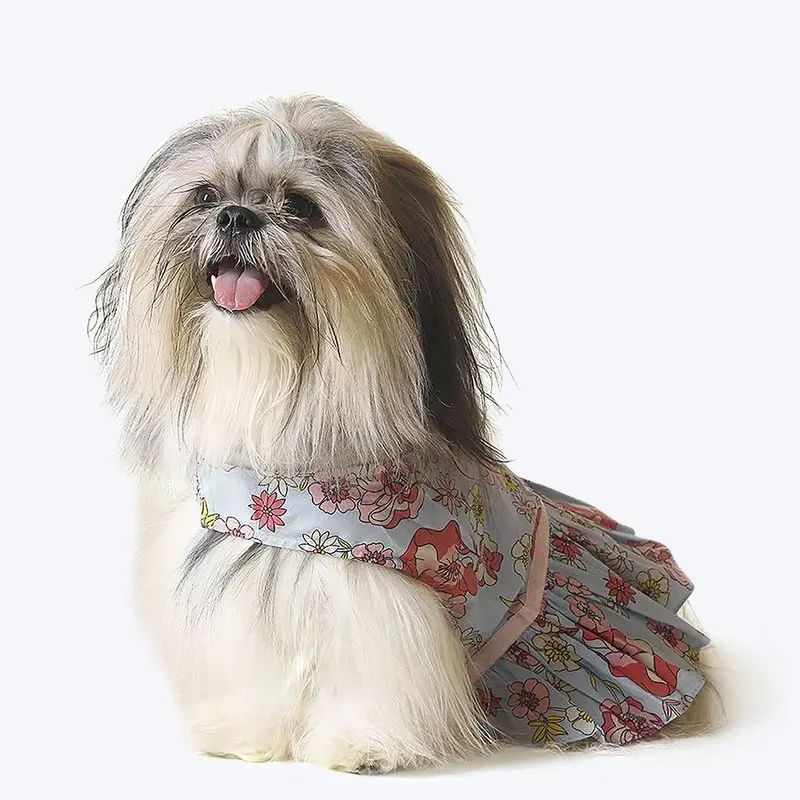 HUFT Floral Dog Dress