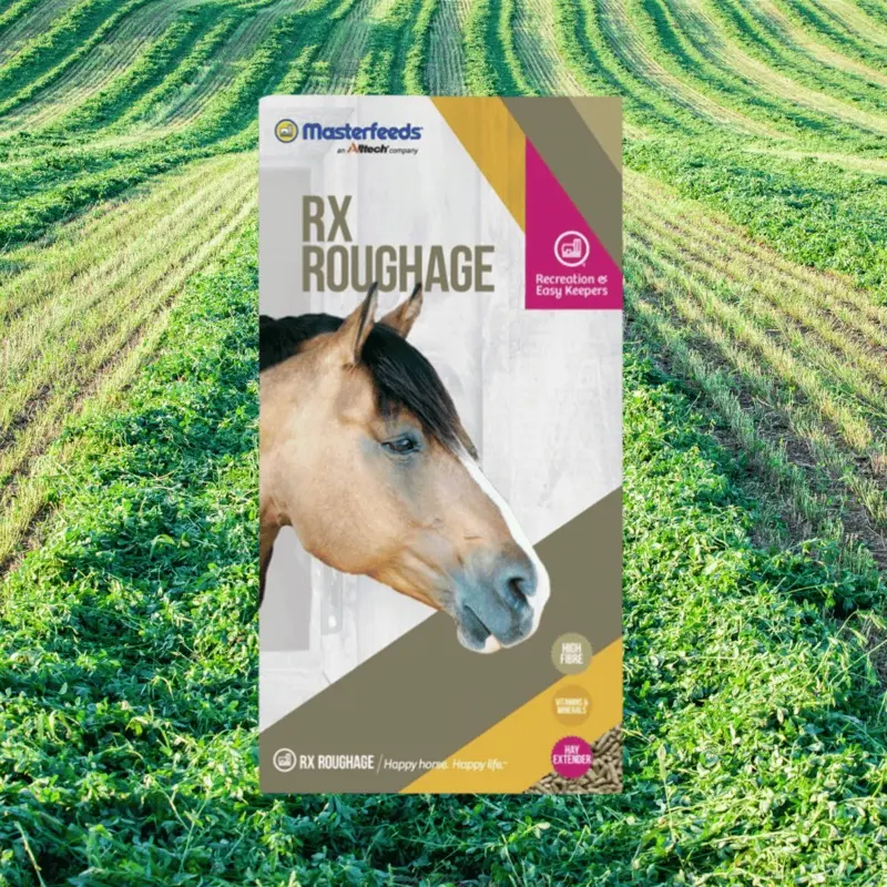 MasterFeed Roughage Cube 12% 25kg