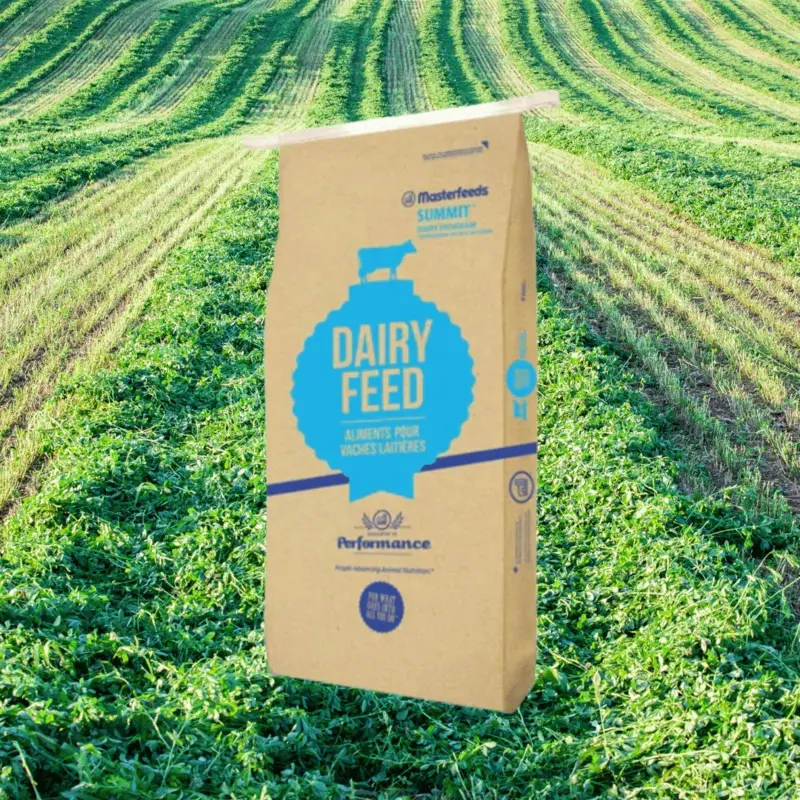 Masterfeeds Dairy Ration 16% Textured Ration