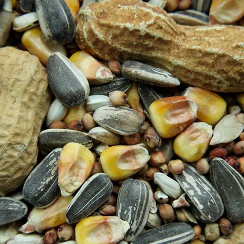 JAY'S PICK SEED MIX 9 KG