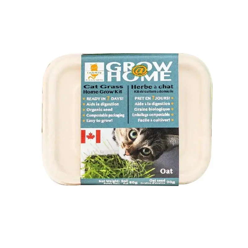 Grow at Home Cat Grass Kit 80g