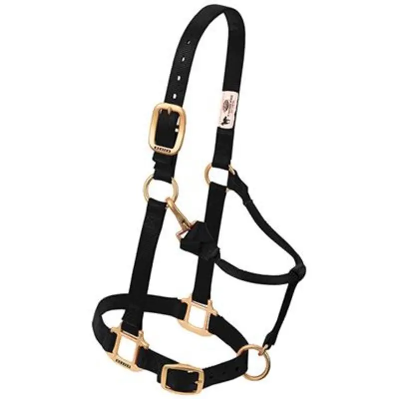Halter- Nylon Small Size