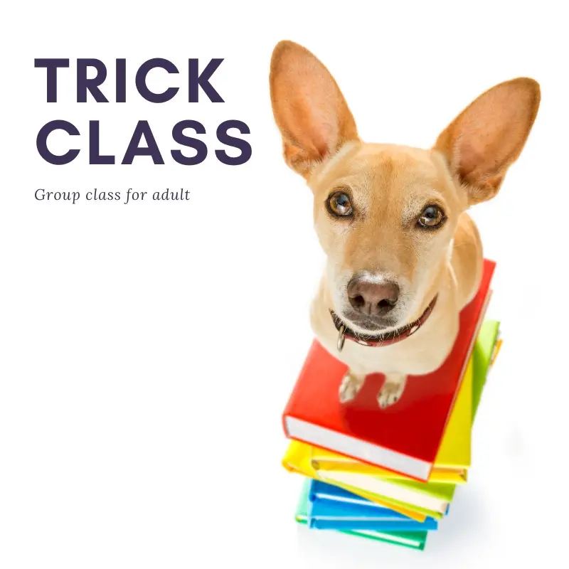 Games That Teach - Group Class