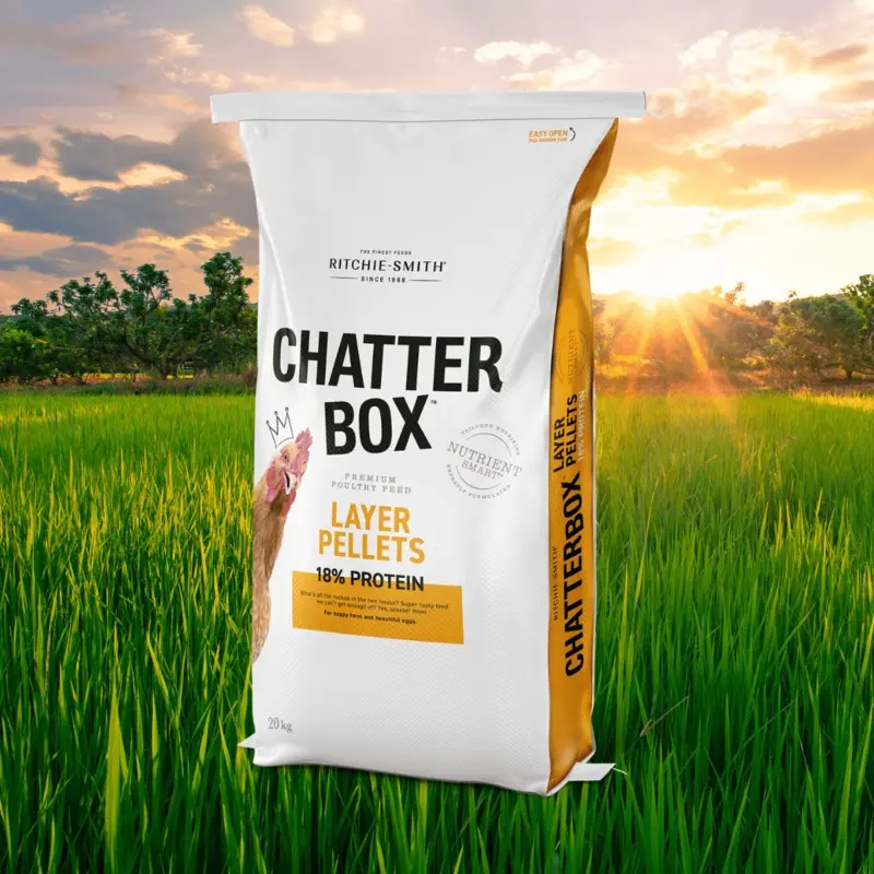 ChatterBox Layer Pellets 18% NON GMO