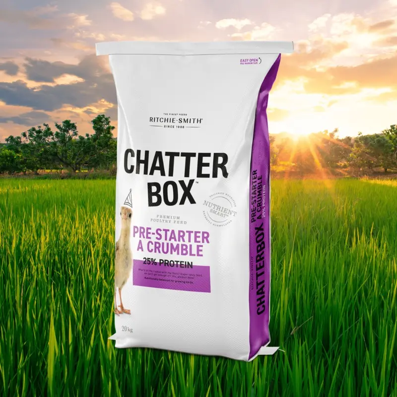 ChatterBox Pre-Starter 25% Turkey NON GMO