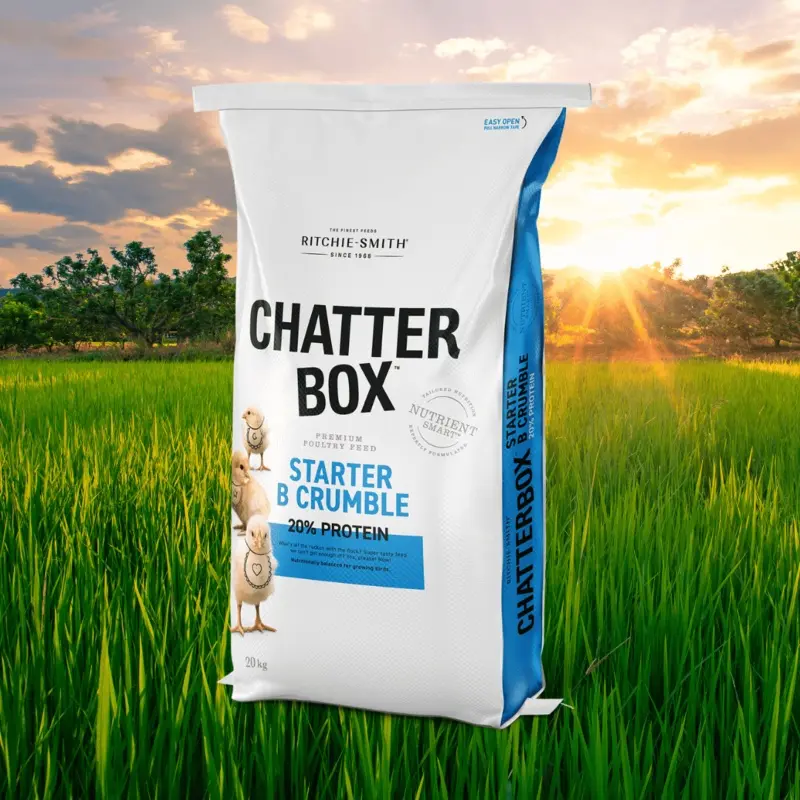 ChatterBox Starter B 20% Crumble NON GMO