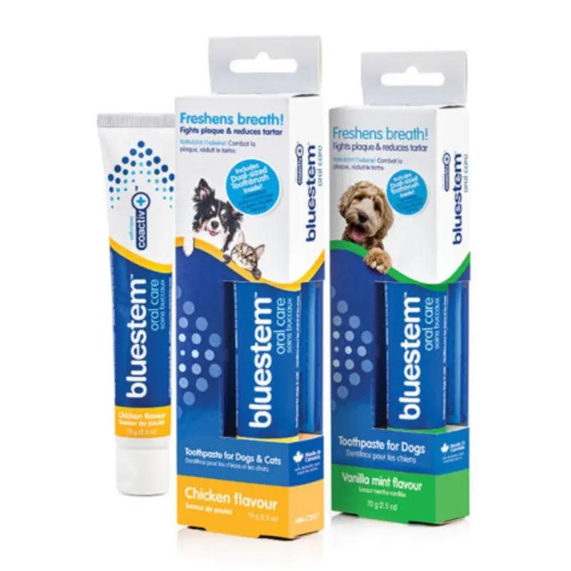 BLUESTEM Chicken Toothpaste 70g