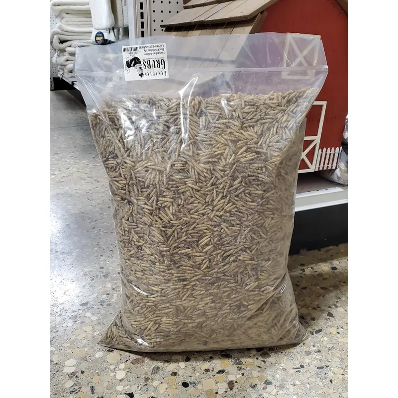 Black Soldier Fly Larvae 6.6lb -Canadian Grubs
