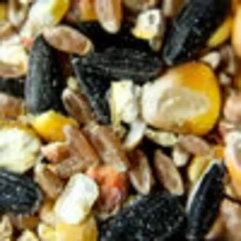 WILD BIRD SEED 9KG W/ CORN
