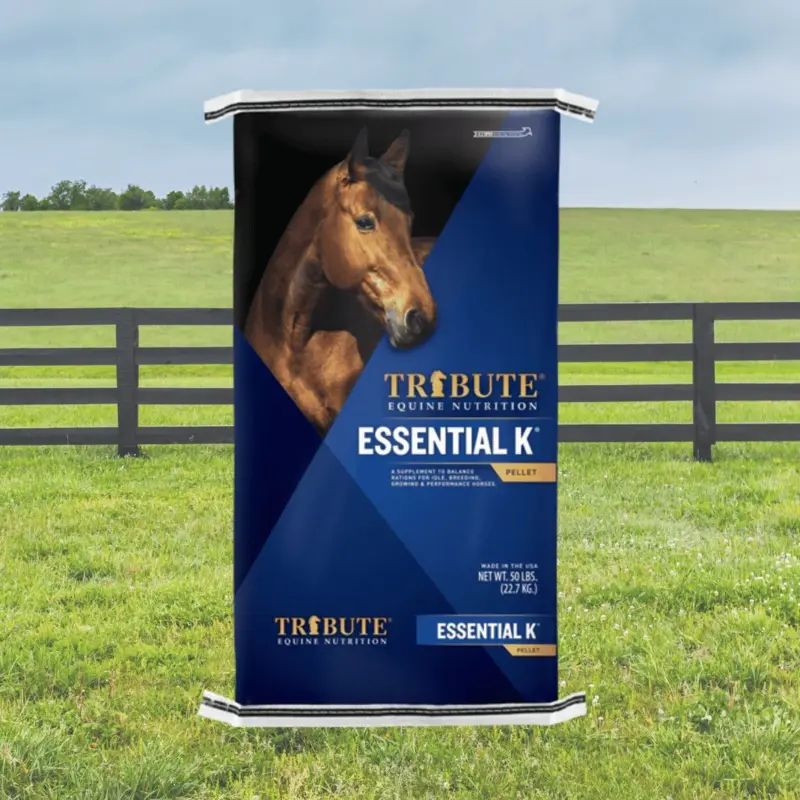 Tribute Essential K Horse Feed