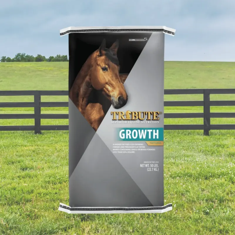 Tribute Growth 16% Horse Feed