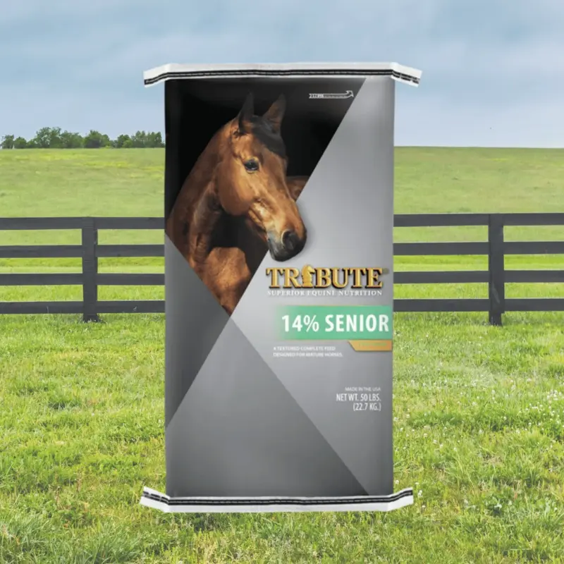 Tribute Senior 14% Horse Feed