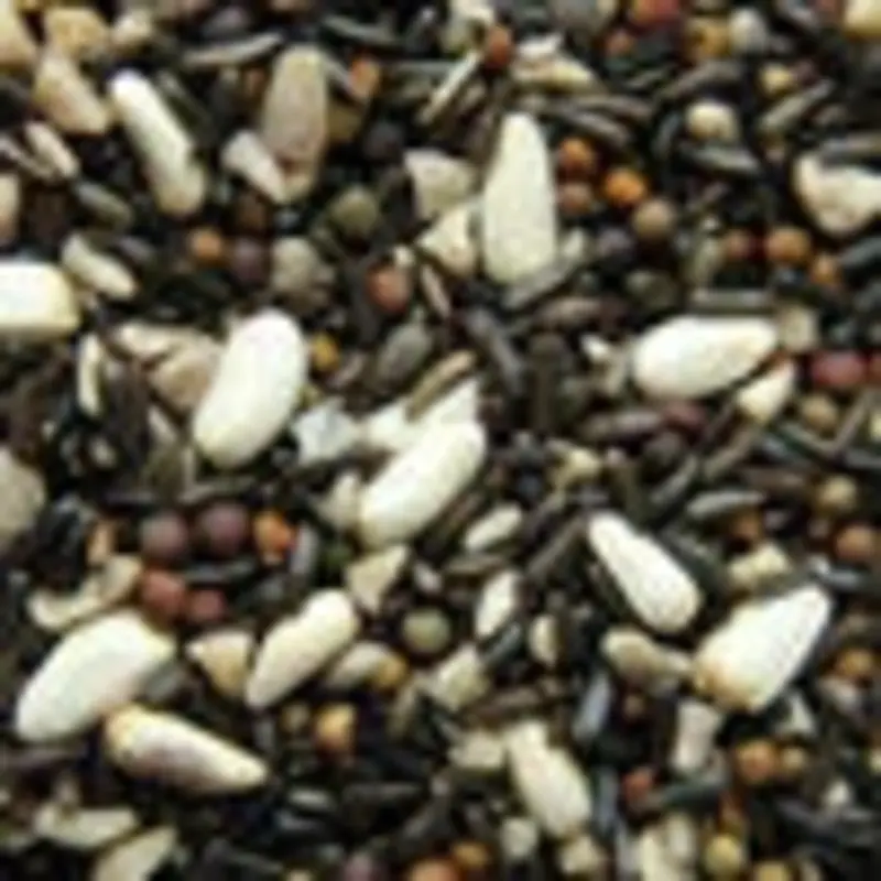 SONGBIRD SEED 4KG