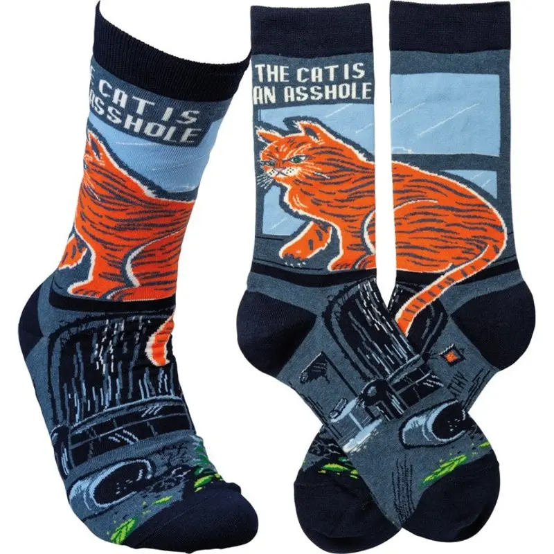 Socks - Cat's an A**hole