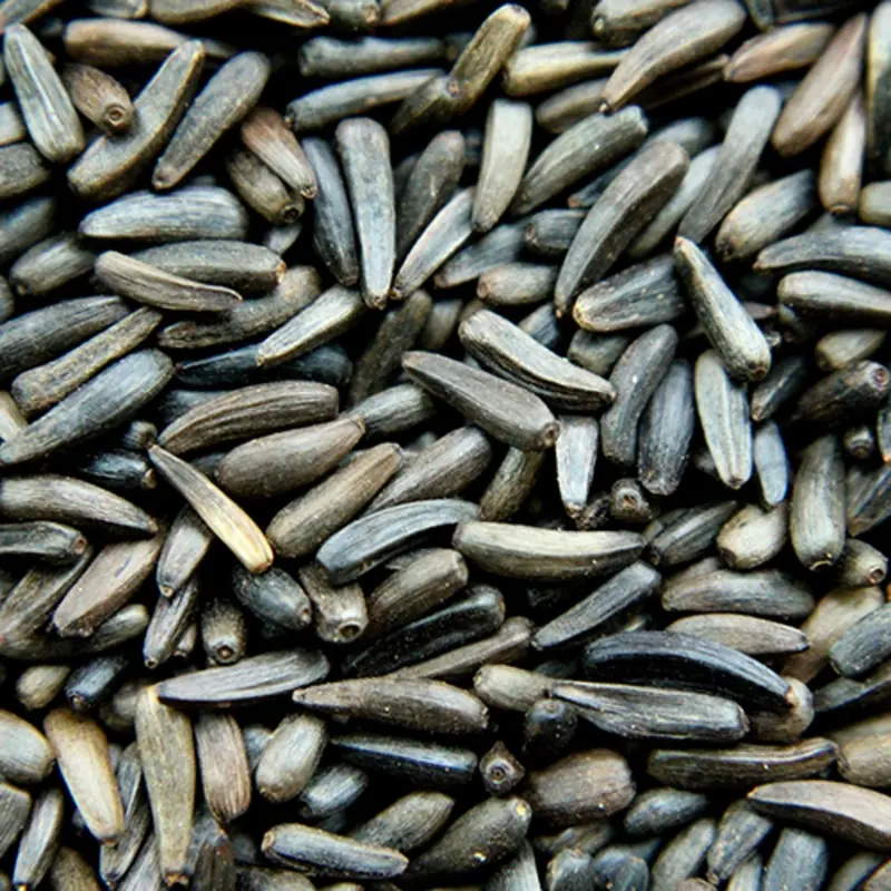 NYJER SEED 4KG
