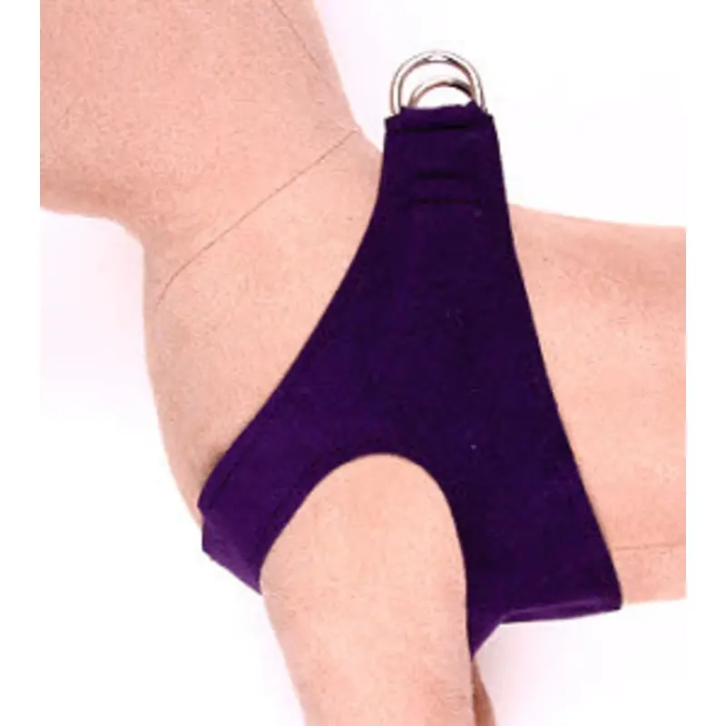 Amethyst Dog Harness by Susan Lanci Designs