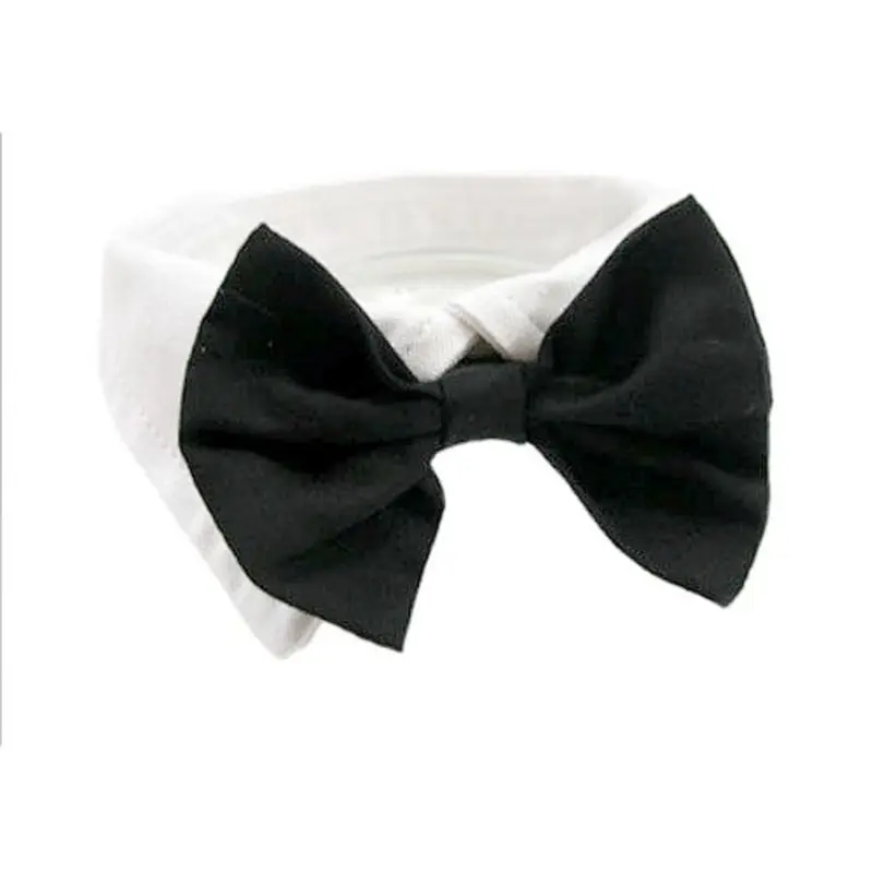 Black Satin Dog Bow Tie & Collar XXL