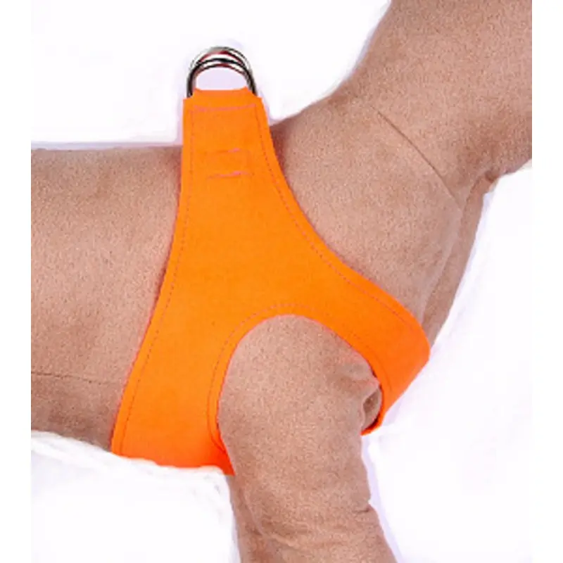 Electric Orange Dog Harness by Susan Lanci Designs