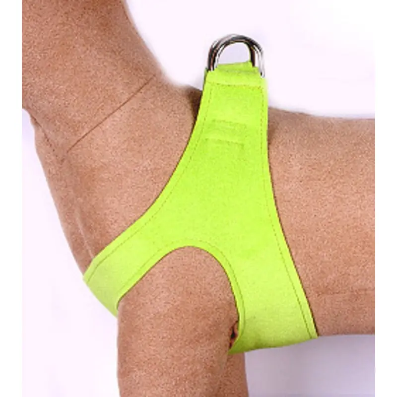 Kiwi Step in Dog Harness by Susan Lanci Designs