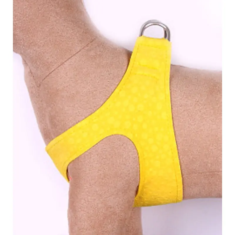 Sunshine Step in Dog Harness by Susan Lanci