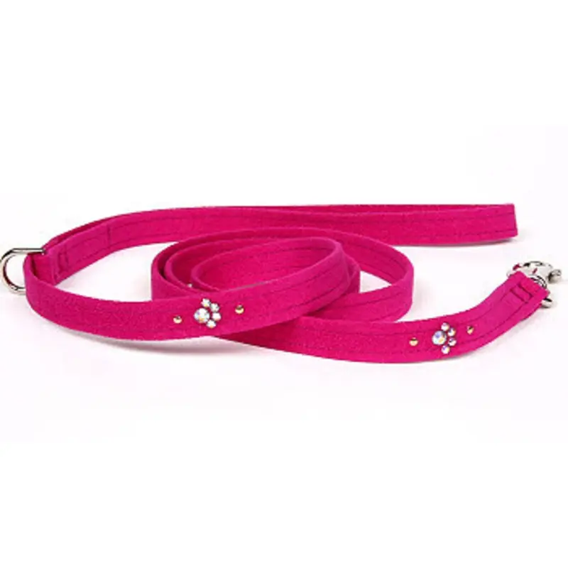 Crystal Paws Leash - Susan Lanci