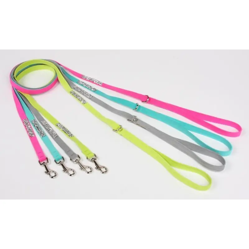 Crystal Rocks Dog Leads by Susan Lanci
